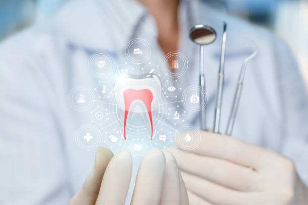 Best Dental Exams and Cleanings  in Westwego, LA